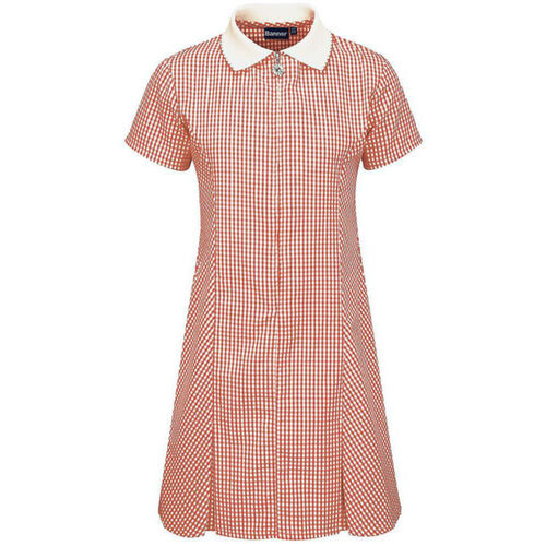 Avon Zip Fronted Gingham Dress Thumbnail